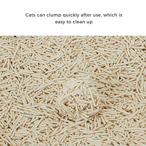 Chowsing 6LB Flushable Tofu Cat Litter