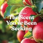 Yankee Candle Macintosh Holiday Scented Jar