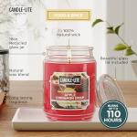 Apple Cinnamon Crisp Scented Candle 18 oz