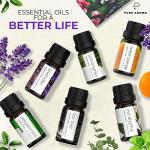 Pure Aroma Essential Oils Gift Set - 6 Pack