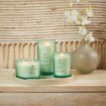 Chesapeake Bay Candle Balance + Harmony Fragrance