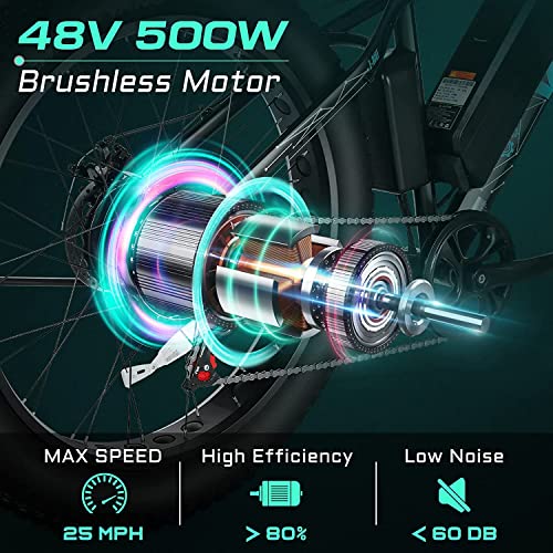 Vivi 500W Fat Tire Electric Mountain Bike