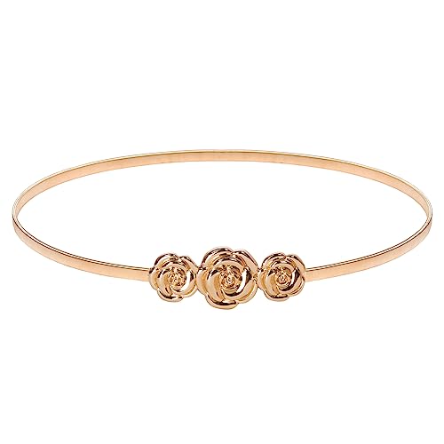 Vintage Gold-Rose Skinny Metal Cinch Belt - XL