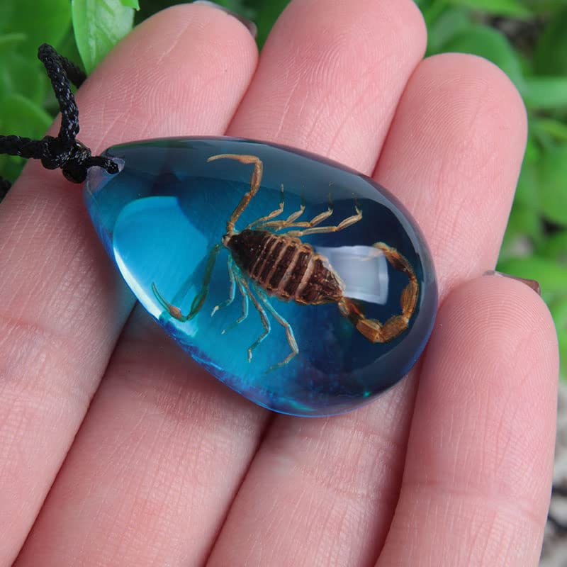 Insect Stone Amber Pendant Necklace Set