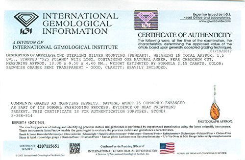 Brown Amber Sterling Silver Long Drop Pendant