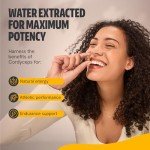 Cordyceps Mushroom Supplement for Energy & Endurance