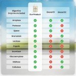 Digestive Enzymes Blend - 800mg All 10 Essential