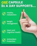 Zenwise Green Coffee Bean Extract for Weight Loss