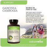 Garcinia Cambogia Extract with 60% HCA