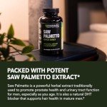 Havasu Extra Strength Saw Palmetto for Prostate Health