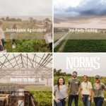 Norm's Farms Elderberry Extract - Immune Support Sauce