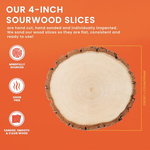 Wood Burning Slices for Crafting (10 Pack)