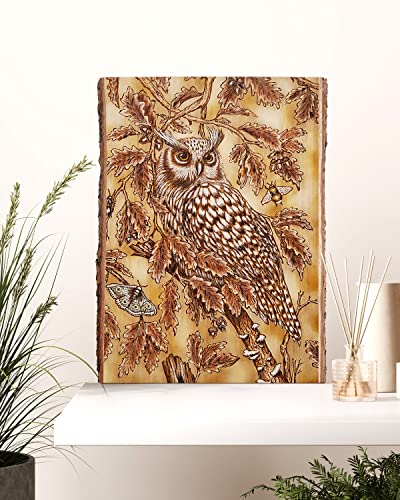 Rectangle Wood Slices with Bark for Crafts