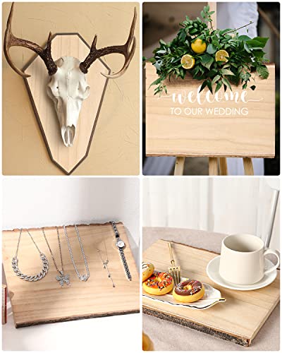 Rectangle Wood Slices with Bark for Crafts