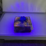 Handmade Resin Ring Holder Jewelry Trinket Dish Blue UV 