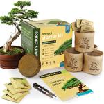 Bonsai Starter Kit - Gardening Mothers Day Gifts for Women & Men - Bonsai Tree Growing Garden Crafts Hobby Kits for Adults, Unique DIY Hobbies for Plant Lovers - Unusual Gifts Ideas Mom, Her, Friend