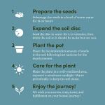 Bonsai Starter Kit - Gardening Mothers Day Gifts for Women & Men - Bonsai Tree Growing Garden Crafts Hobby Kits for Adults, Unique DIY Hobbies for Plant Lovers - Unusual Gifts Ideas Mom, Her, Friend