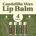 Earth's Daughter Vegan Lip Balm 4-Pack - Assorted Flavors