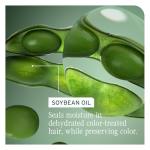 Matrix Biolage Vegan Color Last Shampoo