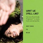 California Naturals Hydrating Conditioner for Dry Hair