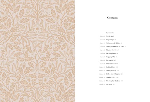 Establishing Home: Creating Space for a Beautiful Life with Family, Faith, and Friends from Tyndale House Pub