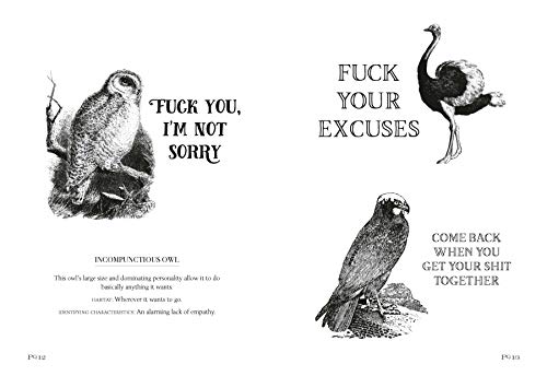 Effin' Birds Identification Field Guide