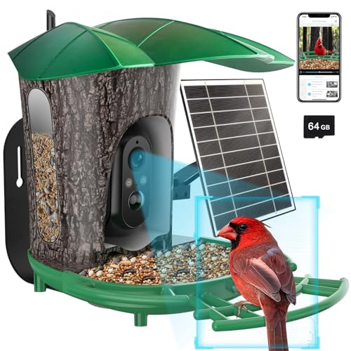 Smart Bird Feeder with Camera and Solar Panel