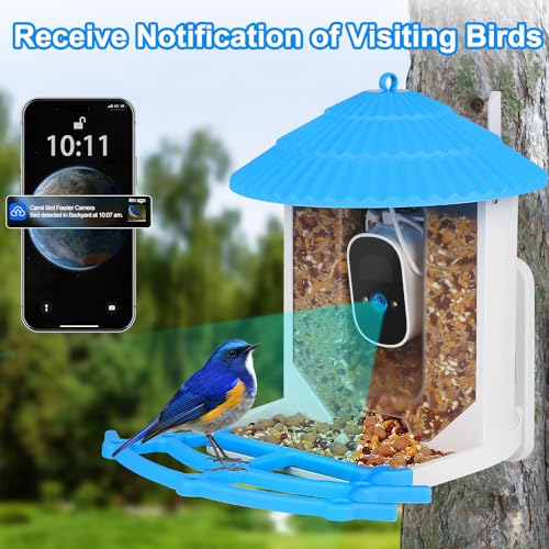 Smart Bird Feeder Camera with Solar Panel