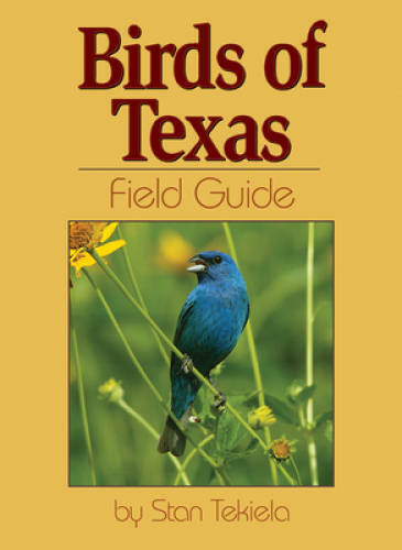 Texas Bird Field Guide - Easy Identification