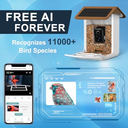 Smart Bird Feeder Camera with AI and HD Video