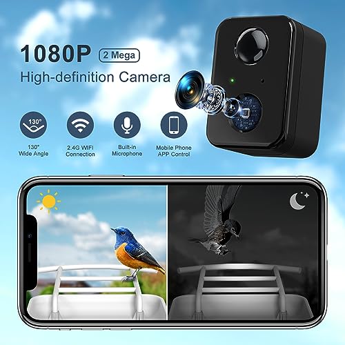 Smart Bird Feeder Camera with AI and HD Video