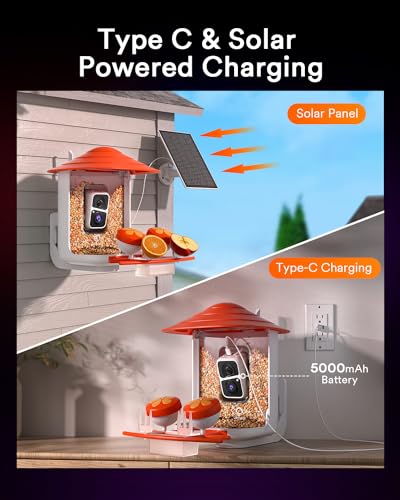 Smart Bird Feeder with Camera and Solar Power