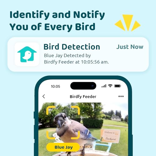 NETVUE Birdfy Smart Feeder with Camera