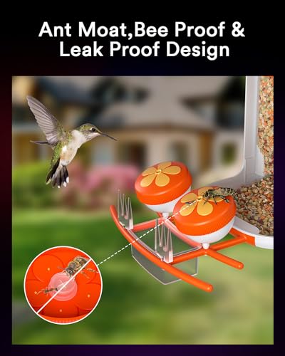 Smart Bird Feeder with Camera and Solar Power