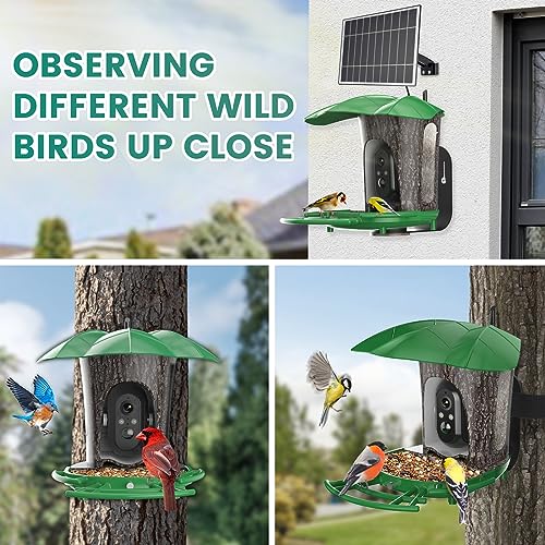 Smart Bird Feeder with Camera and Solar Panel