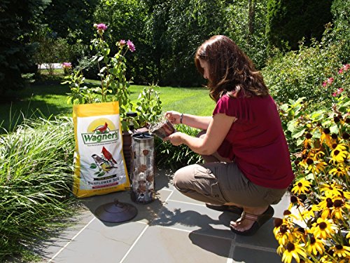 Wagner's Black Oil Sunflower Bird Food, 25 lbs