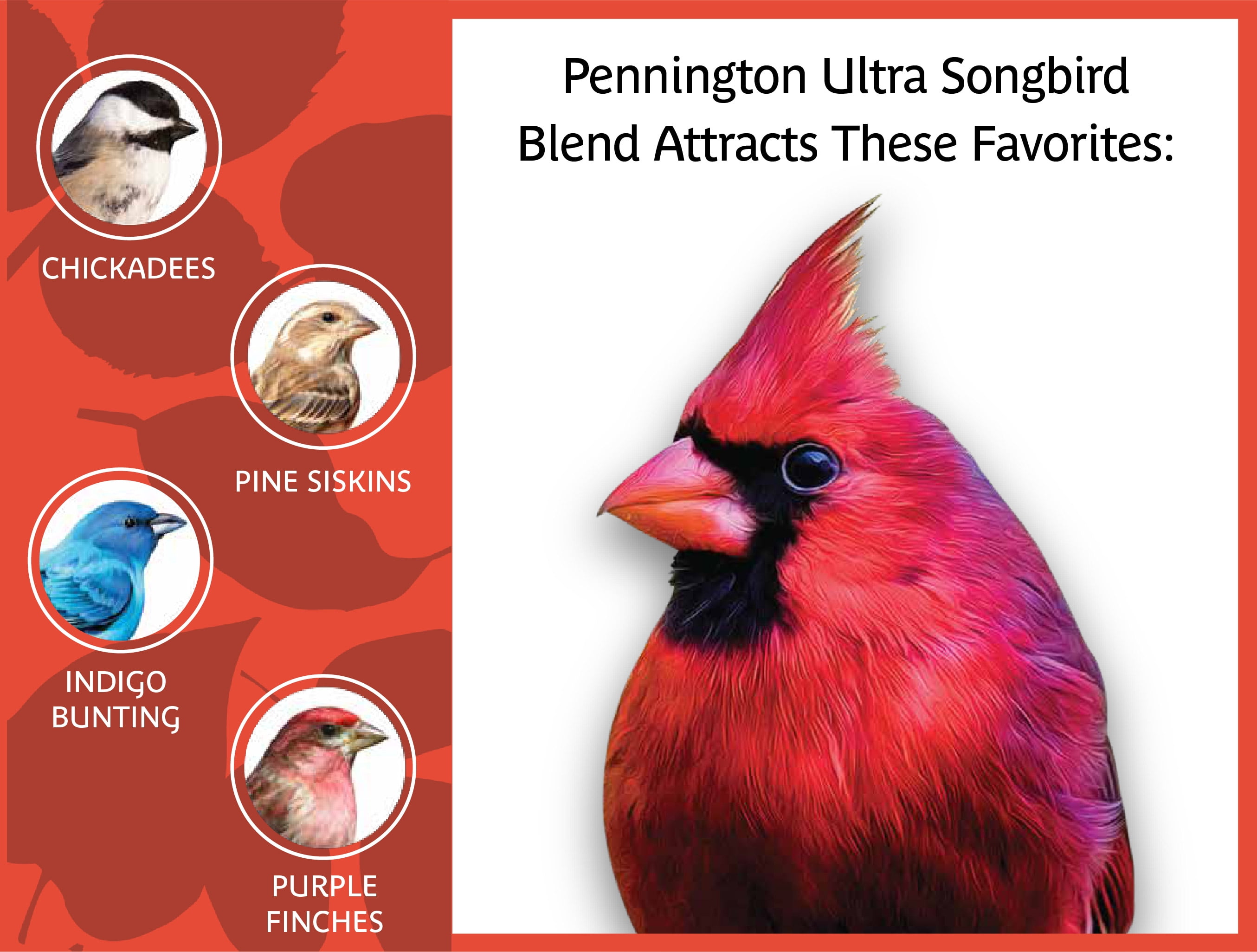 Pennington Ultra Songbird Blend Bird Feed 10 lb