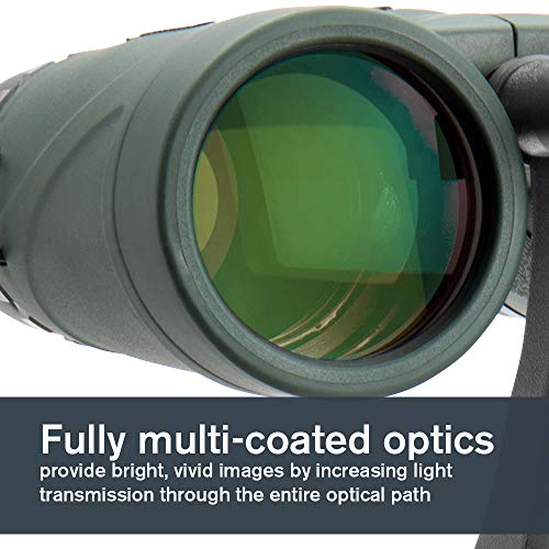Celestron Nature DX 8x42 Binoculars with Case