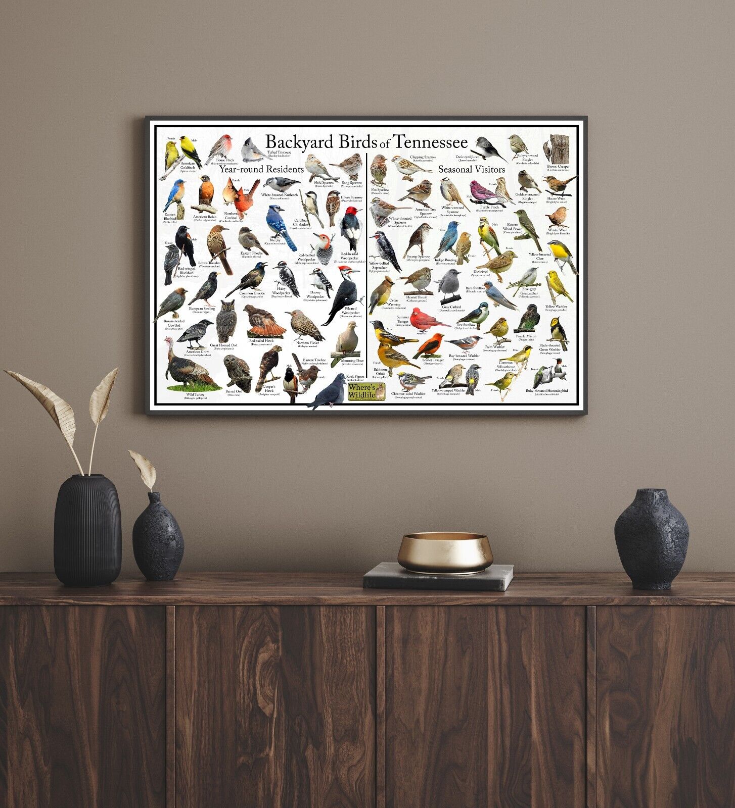 Tennessee Bird Identification Nature Poster