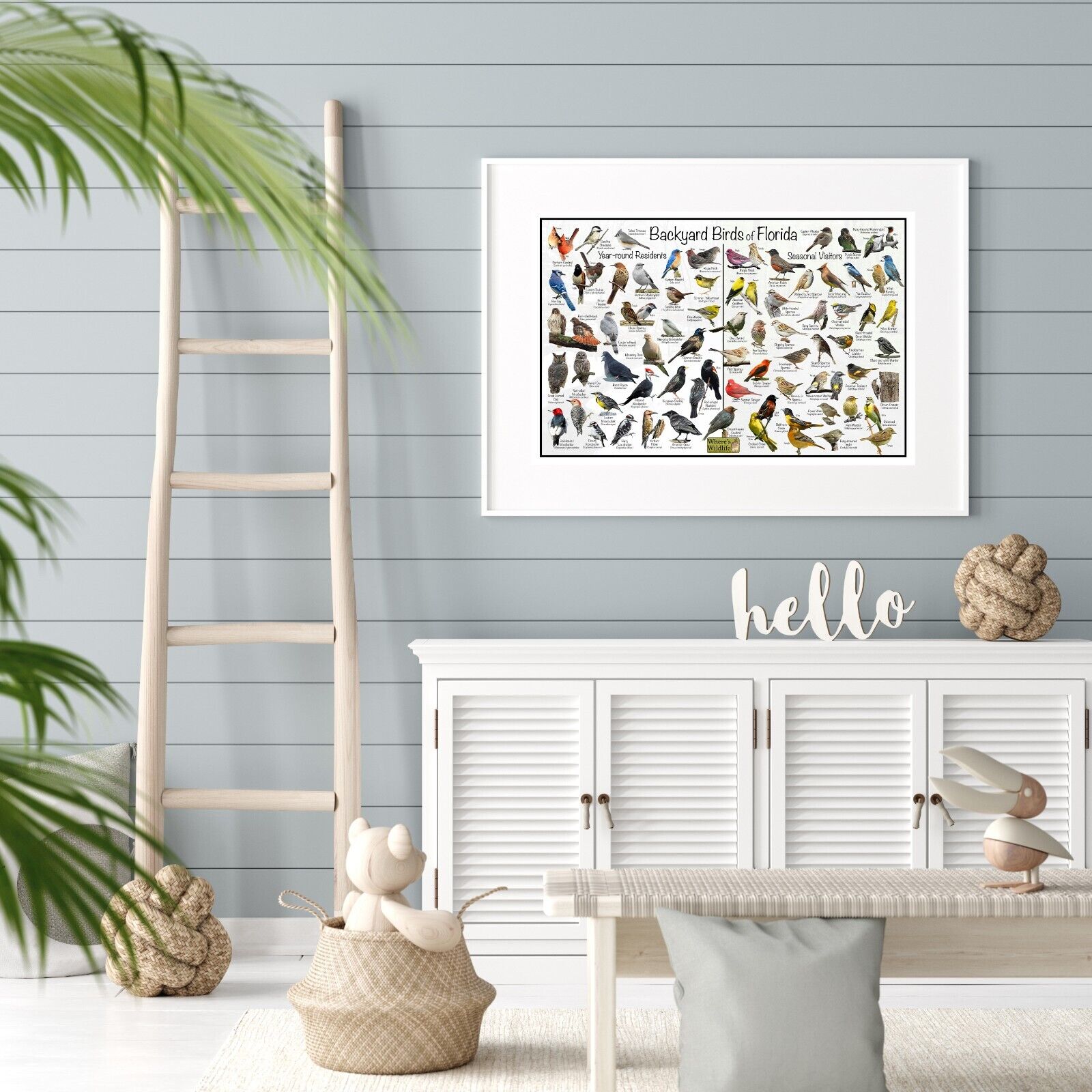 Florida Backyard Birds Bird Identification Poster