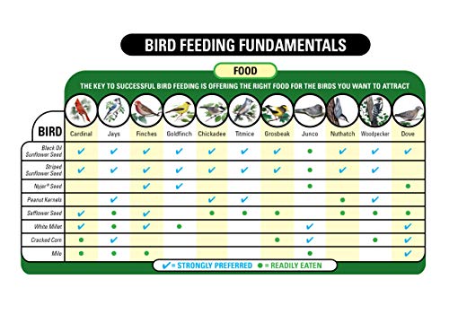 Wagner's 30-Pound Wild Bird Food Bag