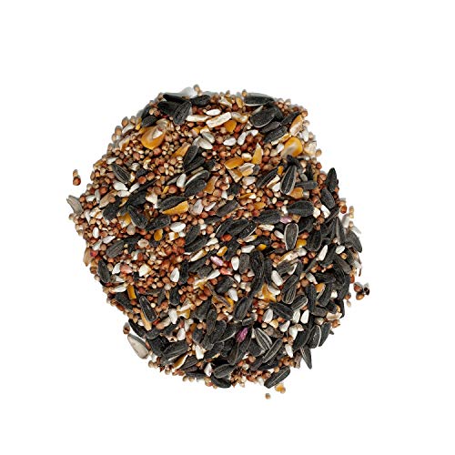 Wagner's Deluxe 4-Pound Wild Bird Treat Blend
