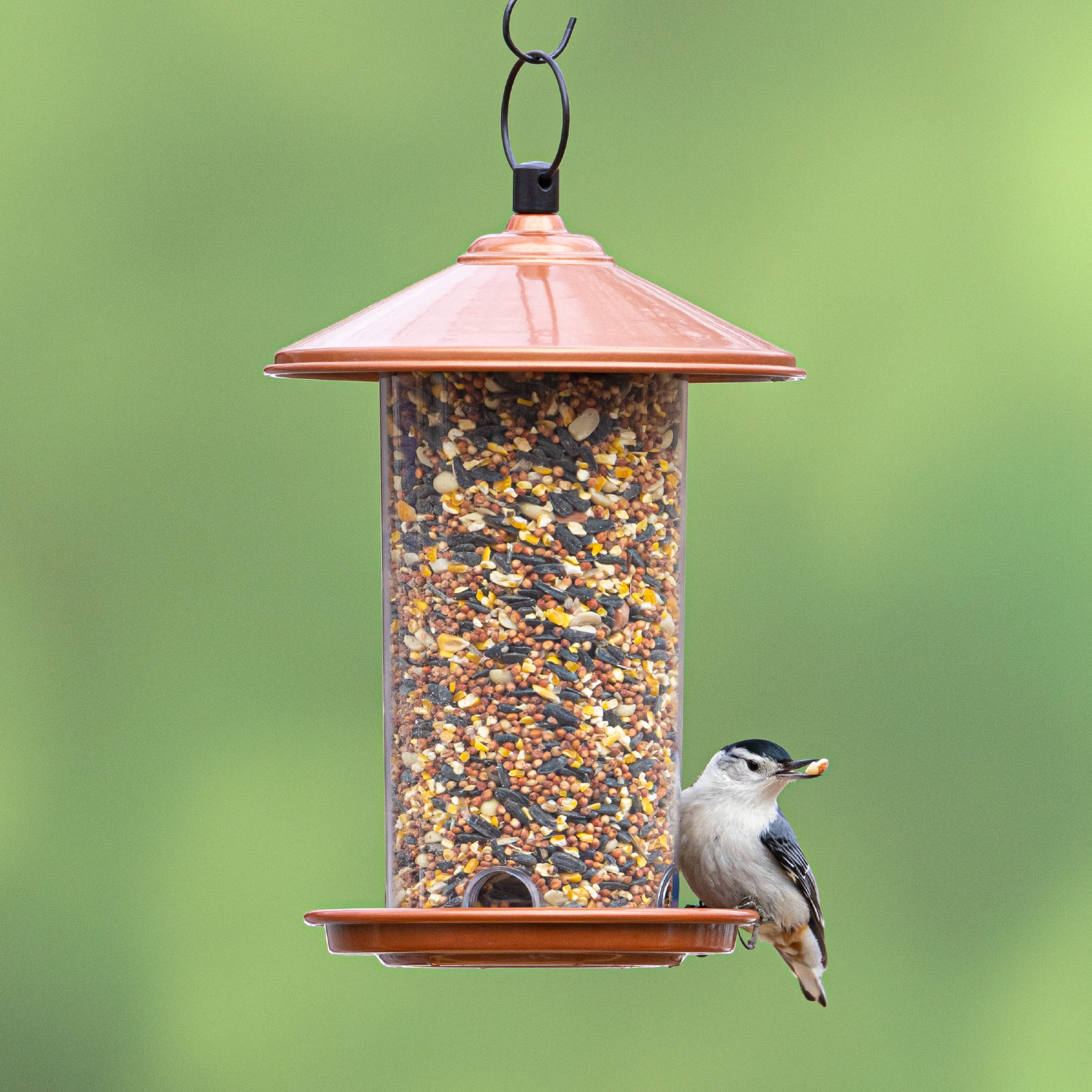 Peanut and Sunflower Wild Bird Seed Blend, 20 lb