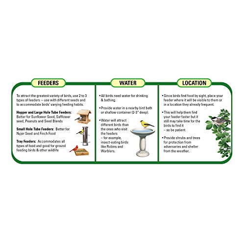 Wagner's Deluxe 4-Pound Wild Bird Treat Blend