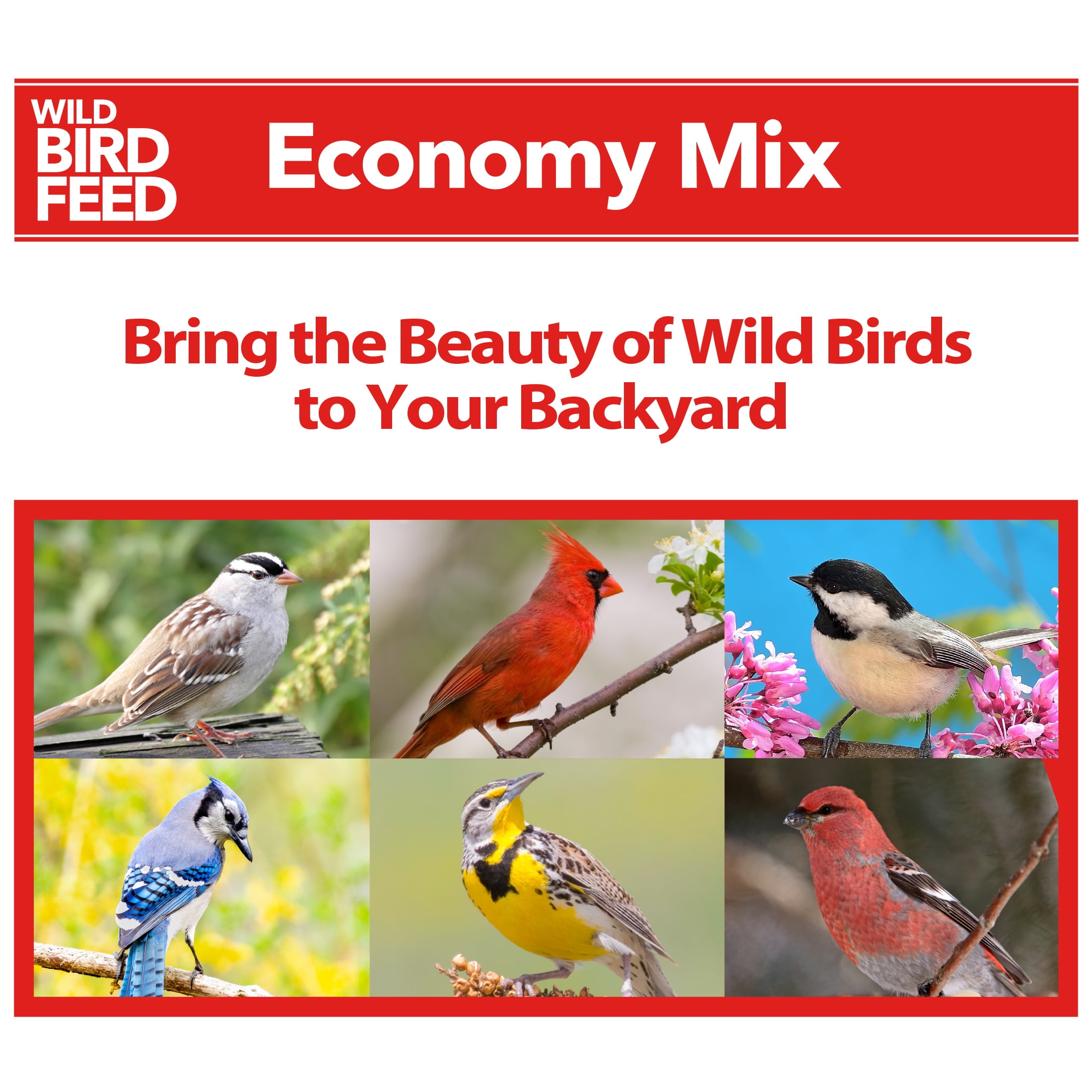 Economy Wild Bird Seed Mix, 20 lb Bag