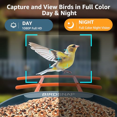 Smart Bird Feeder with Camera and 64GB Card