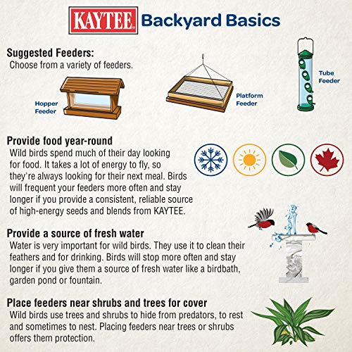 Kaytee Nut & Fruit Wild Bird Seed Mix