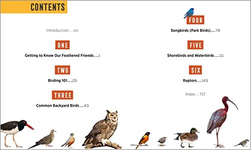 Bird Watching for Beginners: Field Notes on 150 Species