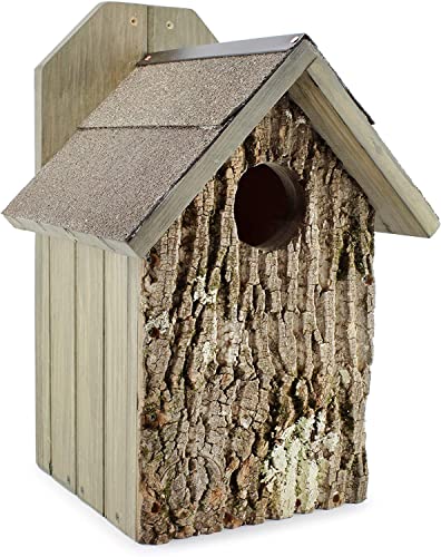 Uncle Dunkel’s Rustic Screech Owl Nesting Box