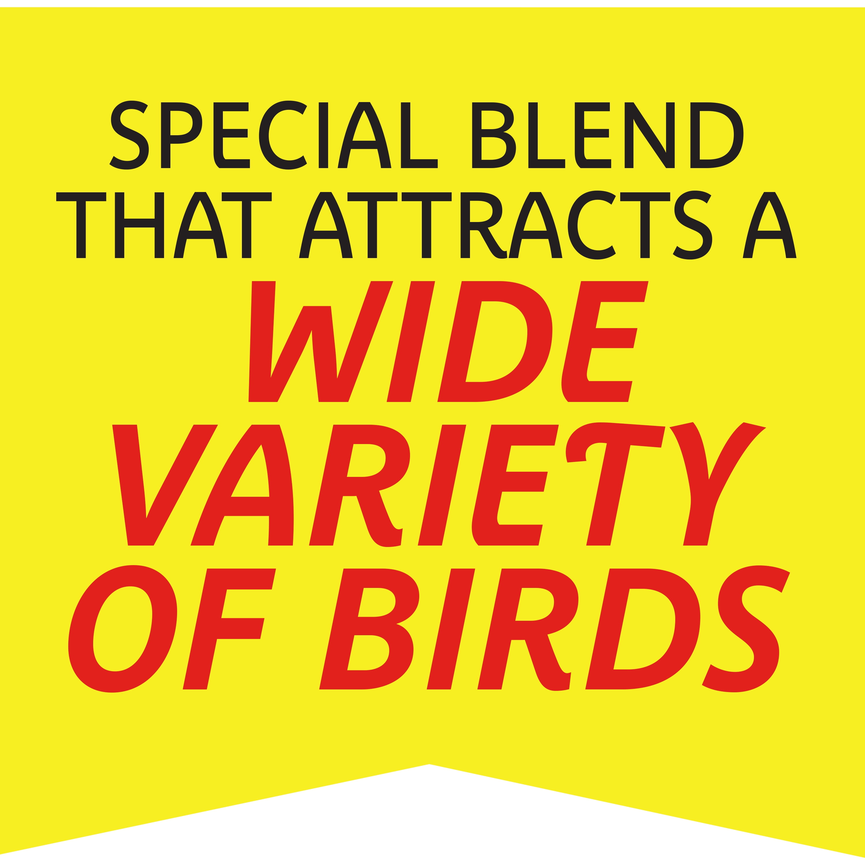 Pennington Select Wild Bird Seed Blend, 40 lb